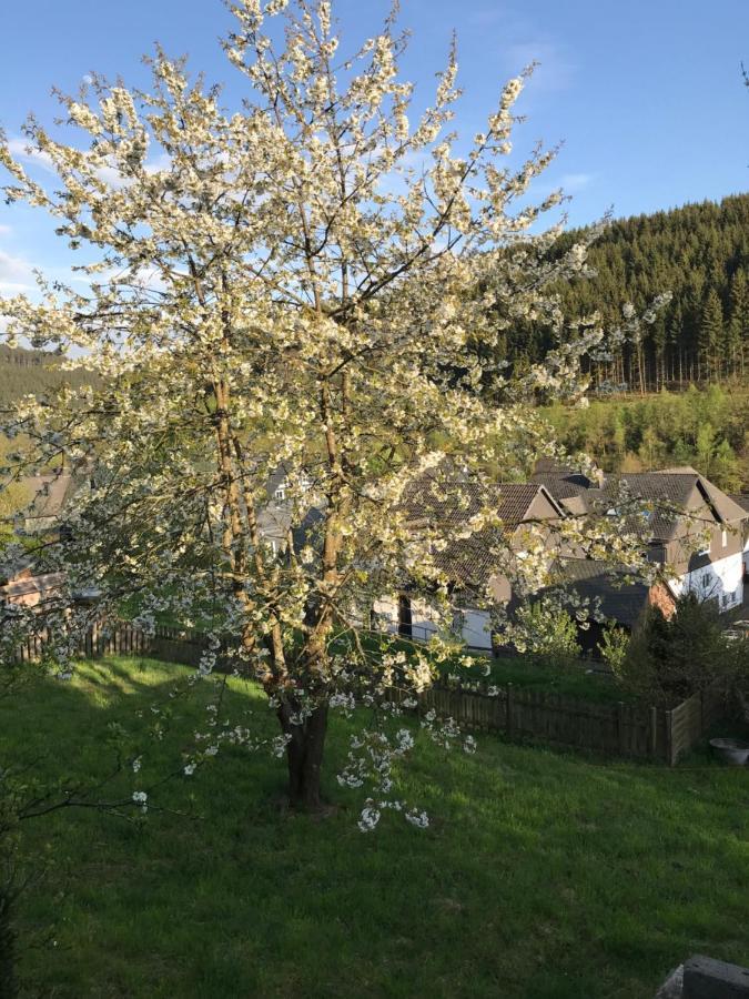 Landhuis Zueschen Villa Winterberg Eksteriør bilde